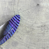 Buy canvas prints of  Blue feather by Beata Aldridge
