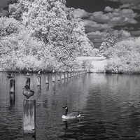 Buy canvas prints of Infrared Lake by Beata Aldridge