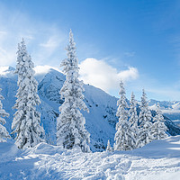Buy canvas prints of Winter in the Alps. by Beata Aldridge