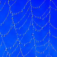 Buy canvas prints of Spider web jewells by Beata Aldridge