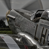 Buy canvas prints of P51 Mustang  " JANIE " by Shaun Westell