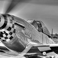 Buy canvas prints of " Warbird Janie " by Shaun Westell