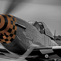 Buy canvas prints of " Warbird Janie "  by Shaun Westell