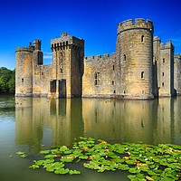 Buy canvas prints of Bodium Castle England by Chris Pickett