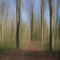Buy canvas prints of The path ahead by Chris Good