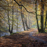 Buy canvas prints of  Hebden Water, Yorkshire, Autumn by John Ealing