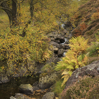 Buy canvas prints of  Honister Fall, Lake District by John Ealing