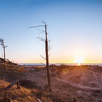Buy canvas prints of Pines of Formby pano by John Ealing