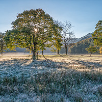 Buy canvas prints of First Frost by John Ealing