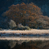 Buy canvas prints of Frosty Morning by John Ealing