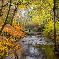 Buy canvas prints of Holcombe Brook by John Ealing