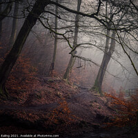 Buy canvas prints of Mist in Redisher Woods by John Ealing