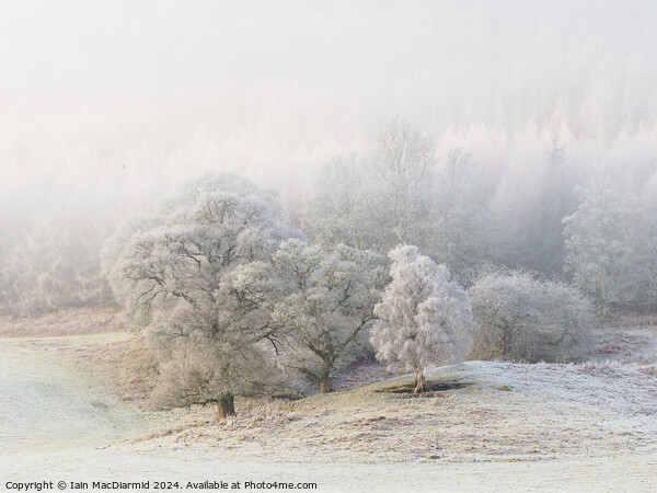 A Winter Scene Picture Board by Iain MacDiarmid