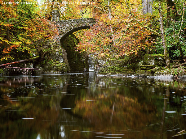 Hermitage Bridge, River Braan Picture Board by Iain MacDiarmid