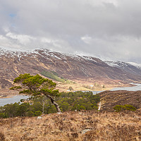 Buy canvas prints of The View From Mullardoch Lodge by Iain MacDiarmid