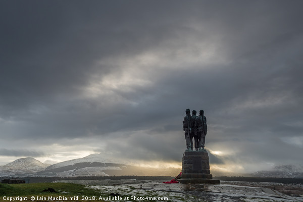 Commanding View Picture Board by Iain MacDiarmid