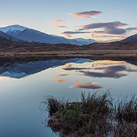 Buy canvas prints of Cannich Colour by Iain MacDiarmid