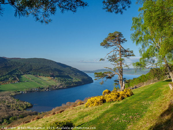 Loch Ness Postcard Picture Board by Iain MacDiarmid