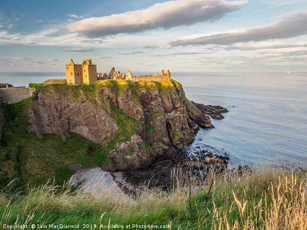 Dunnottar Castle in the Setting Sun Picture Board by Iain MacDiarmid