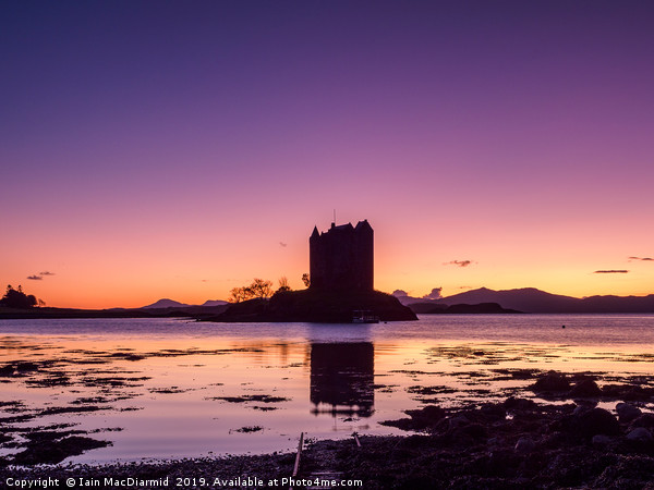 Castle Stalker Sunset Picture Board by Iain MacDiarmid