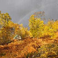 Buy canvas prints of Autumn Sheiling by Iain MacDiarmid