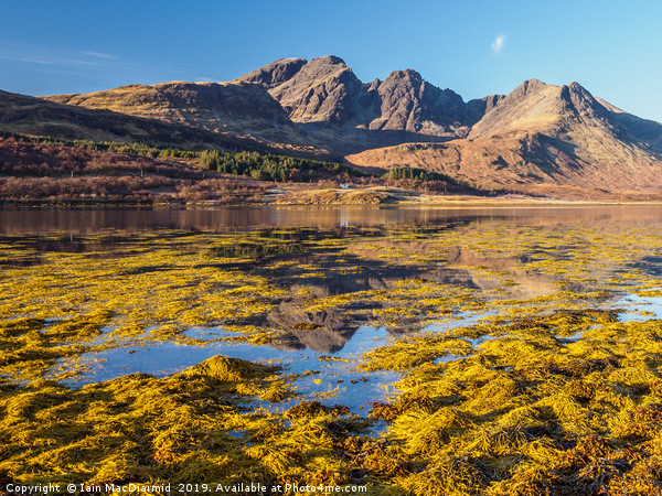Loch Slapin and Blaven Picture Board by Iain MacDiarmid