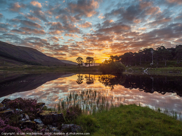 Glen Cannich Sunrise Picture Board by Iain MacDiarmid