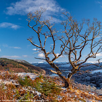 Buy canvas prints of First Taste of Winter by Iain MacDiarmid