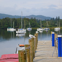 Buy canvas prints of Ambleside Pier  by Terry Hunt