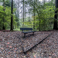 Buy canvas prints of  Park Bench by Kevin Clelland