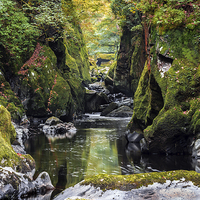 Buy canvas prints of  Gorge at the Fairy Glen by Kevin Clelland