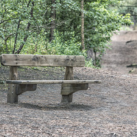 Buy canvas prints of Park Bench by Kevin Clelland