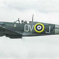 Buy canvas prints of Spitfire Vb W3644 by Kevin Clelland