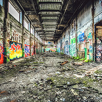 Buy canvas prints of Grafitti by Kevin Clelland