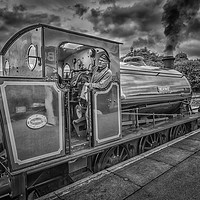 Buy canvas prints of Beatrice by Kevin Clelland