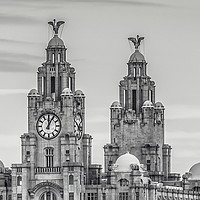 Buy canvas prints of Liverpool's Liver Birds by Kevin Clelland