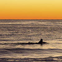 Buy canvas prints of  Sunset Surfer by Shawn Jeffries