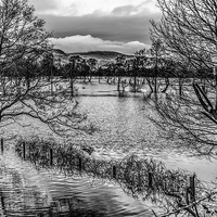 Buy canvas prints of  Conwy Valley in Flood  by Chris Evans