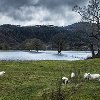 Buy canvas prints of  Conwy Valley Flood by Chris Evans