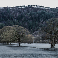 Buy canvas prints of Flooded Conwy Valley  by Chris Evans