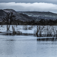 Buy canvas prints of  Valley in flood in Conwy  by Chris Evans