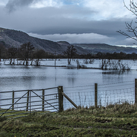 Buy canvas prints of  Flooded Conwy Valley  by Chris Evans