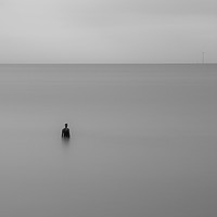 Buy canvas prints of Antony Gormley's Another Place  by Chris Evans