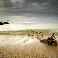 Buy canvas prints of Walton on the Naze Special Branch by Rob Woolf