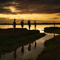 Buy canvas prints of March on the Marshes by Rob Woolf