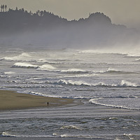 Buy canvas prints of Stroll Along The Oregon Coast As The Tide Comes In by Wilhelmina Hayward