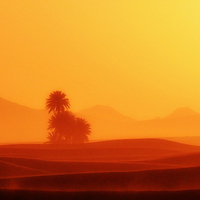 Buy canvas prints of  Hot Sahara Desert  by HQ Photo