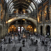 Buy canvas prints of Natural history museum in strong HDR by HQ Photo