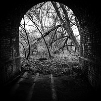 Buy canvas prints of Spooky woodland tunnel  by paul middleton