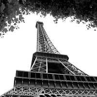 Buy canvas prints of   Eiffel Tower  by David Chennell